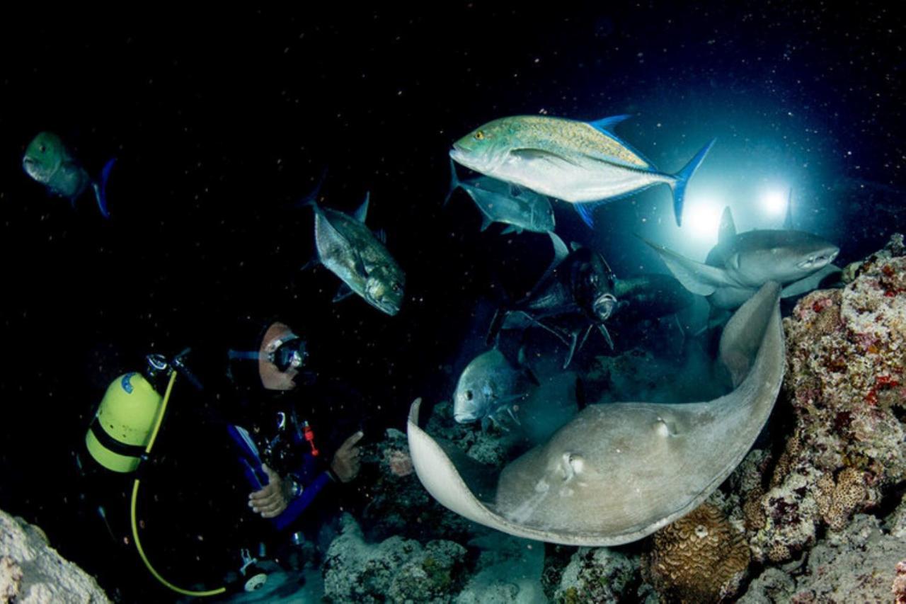 Hotel And Dive Center Roatan Yacht Club French Harbour Esterno foto