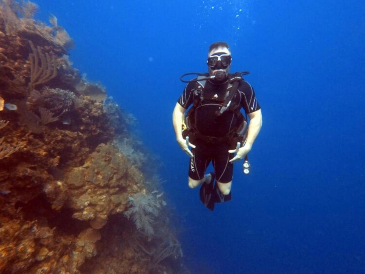 Hotel And Dive Center Roatan Yacht Club French Harbour Esterno foto